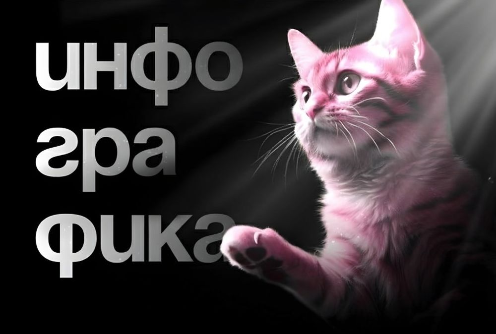 Инфографика для маркетплейсов