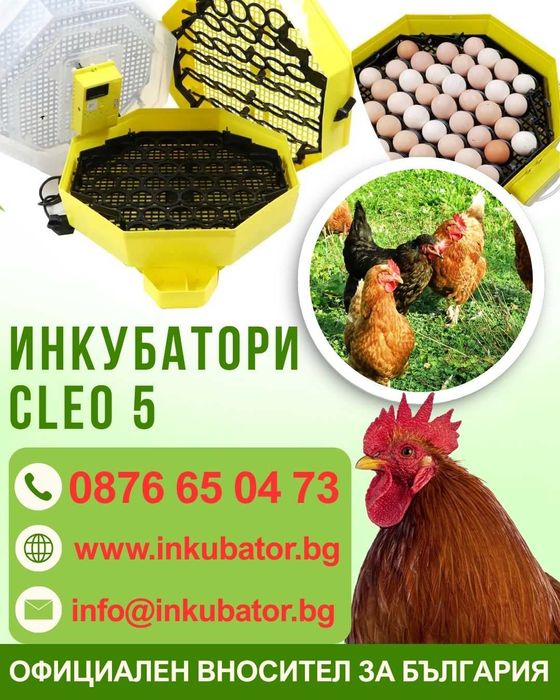 Инкубатор за 82 яйца, Cleo 5x2 DTH, официален вносител за България
