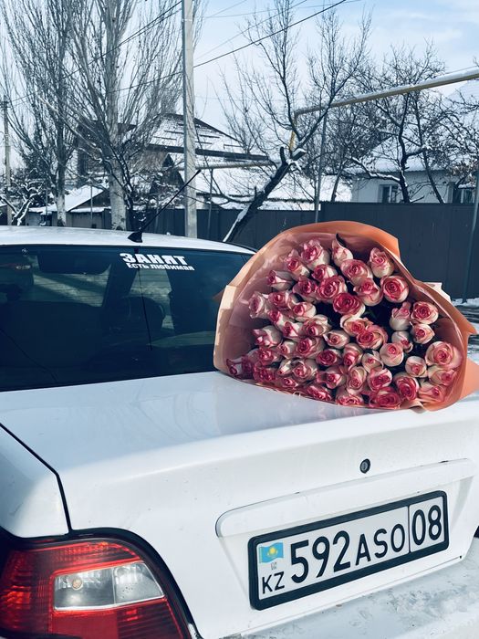 цветы жана алдым, 15мыңға беремін