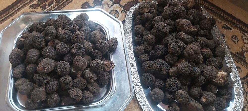 sub pamant ascunse.;diamante negre,dar si delicatese