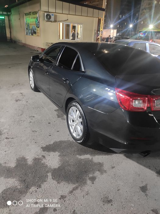 Malibu 1 3 pozitsa kraska tozza