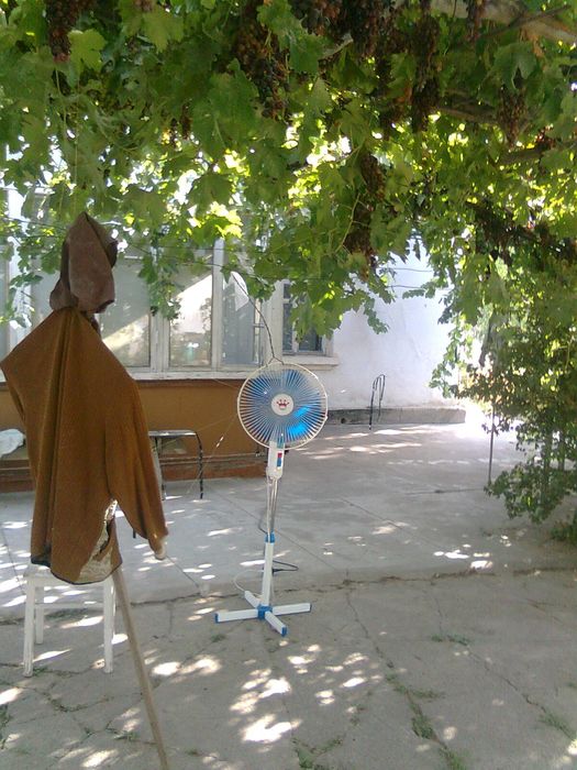 Срочно продаётся дом. Без посредников. Дорого. Участок большой.