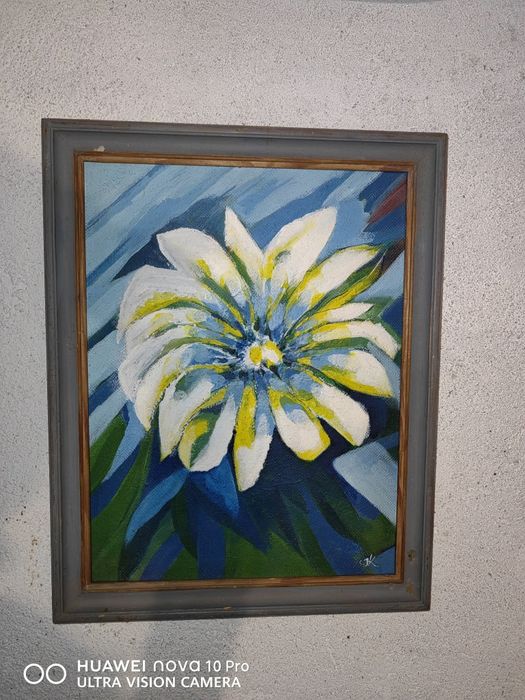 Picturi originale, semnate de artist.
Accept schimburi cu antichități