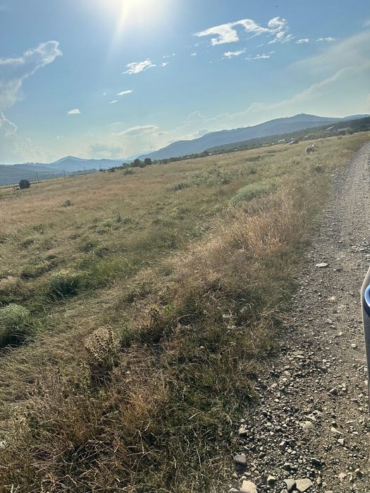 Teren Vânătorii Neamț