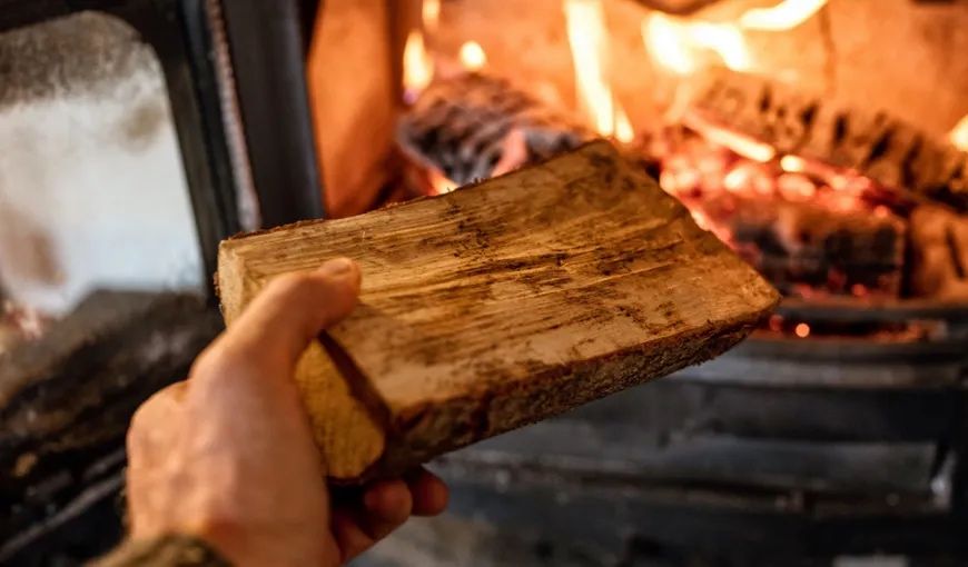 Lemne de foc calitate superioara!