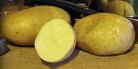 Домашний картофель