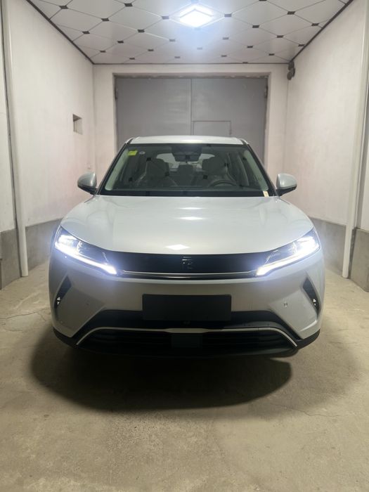 Byd yuan up 2-pozitsa smart 2025