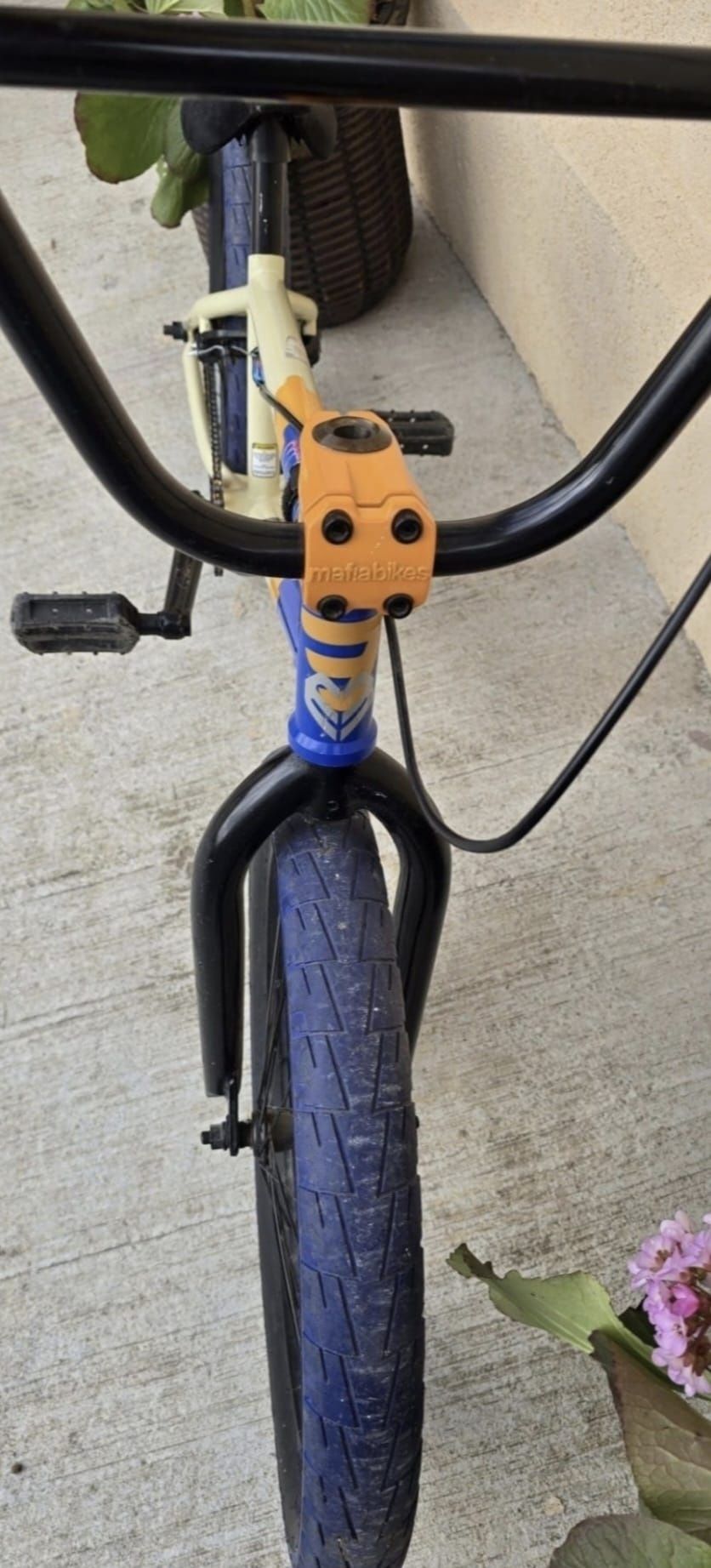 Bmx Mafia Madmain
