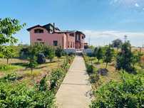 Casa de vanzare cu teren 8000mp