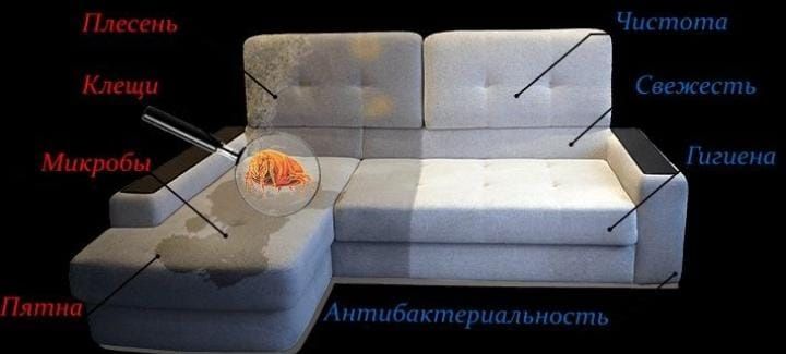 Аренда Моющего пылесоса,Пароочистителя и Стеклоочистителя