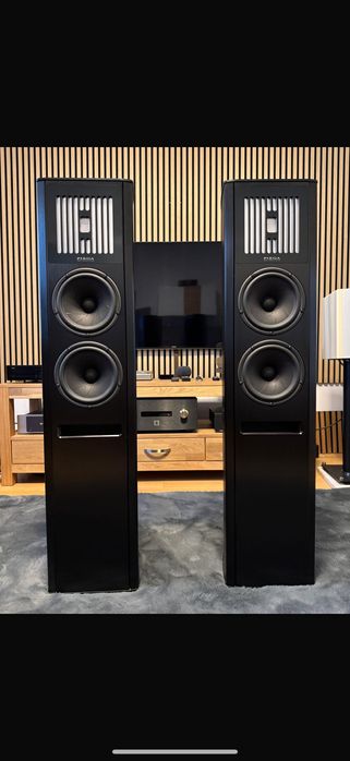 Piega Coax 90.2/Swizerland