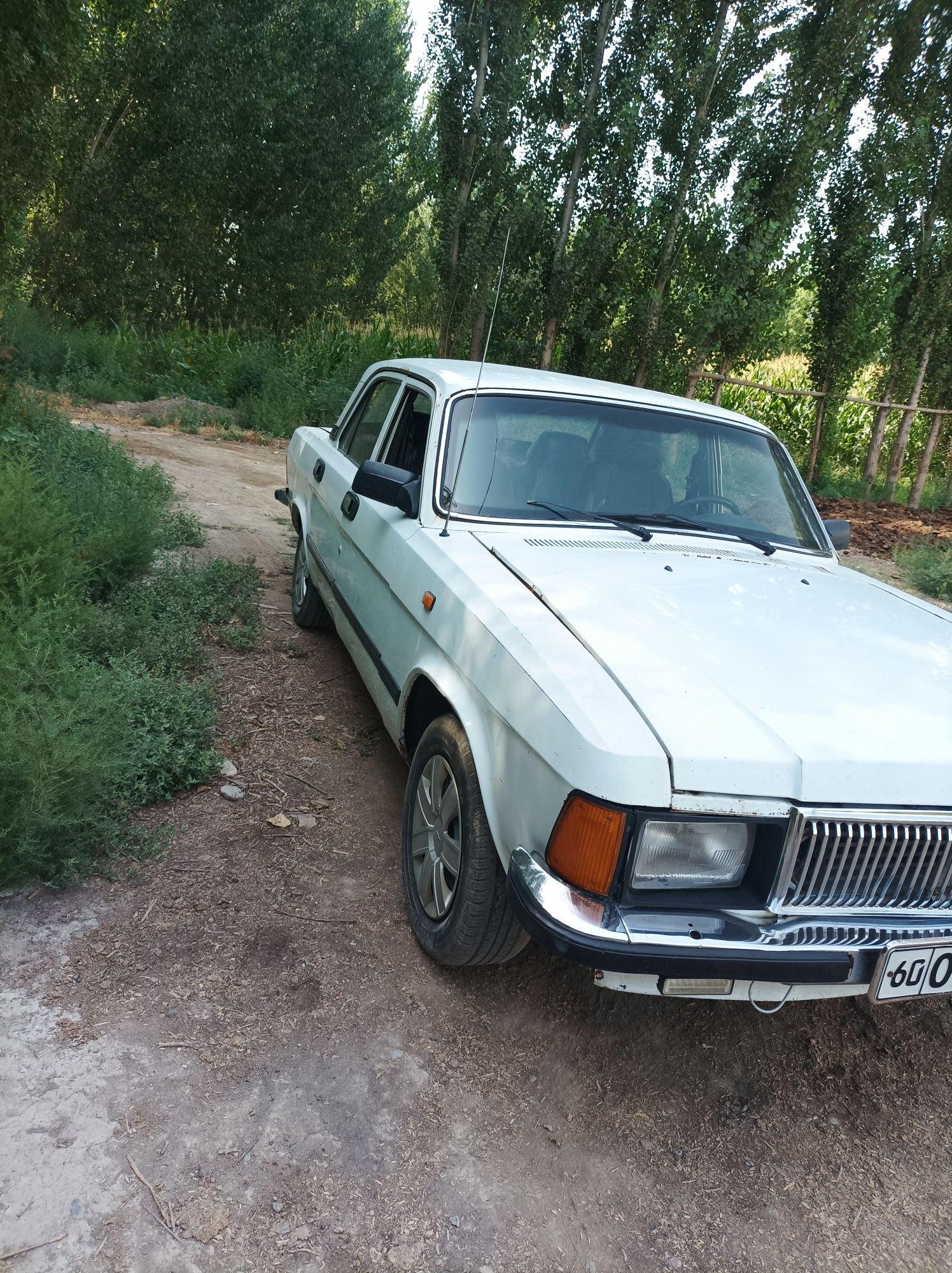 Sotiladi Gaz 3102