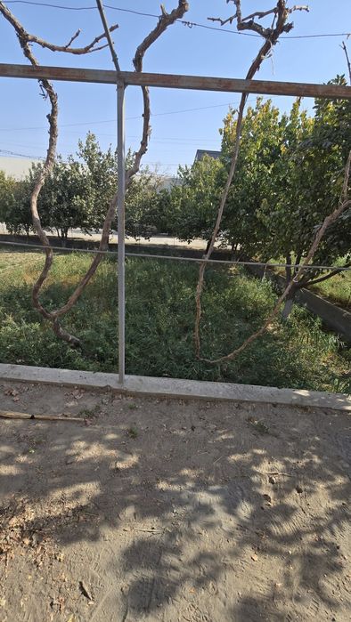 Жондор туман марказидан ер участка сотилади . 7сотик нархи 18000$ кели