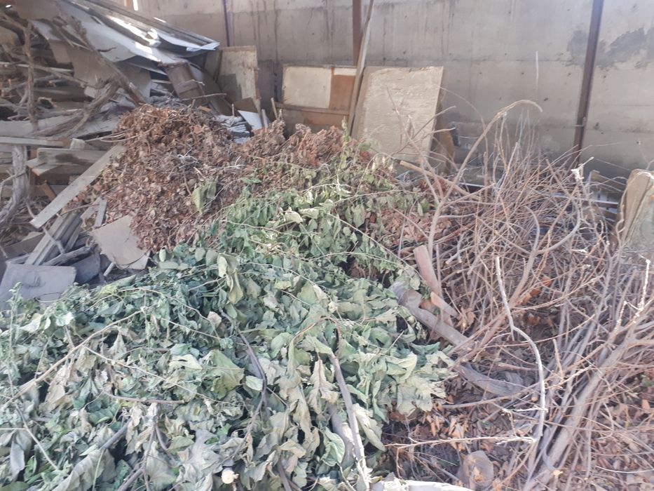 Қуруқ ўтинлар сотилади