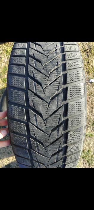 225 55 R19  Две зимни гуми