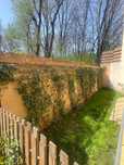 apartament 3 camere+terasa+grădină+sală sport+saună-Copou/Bellevue