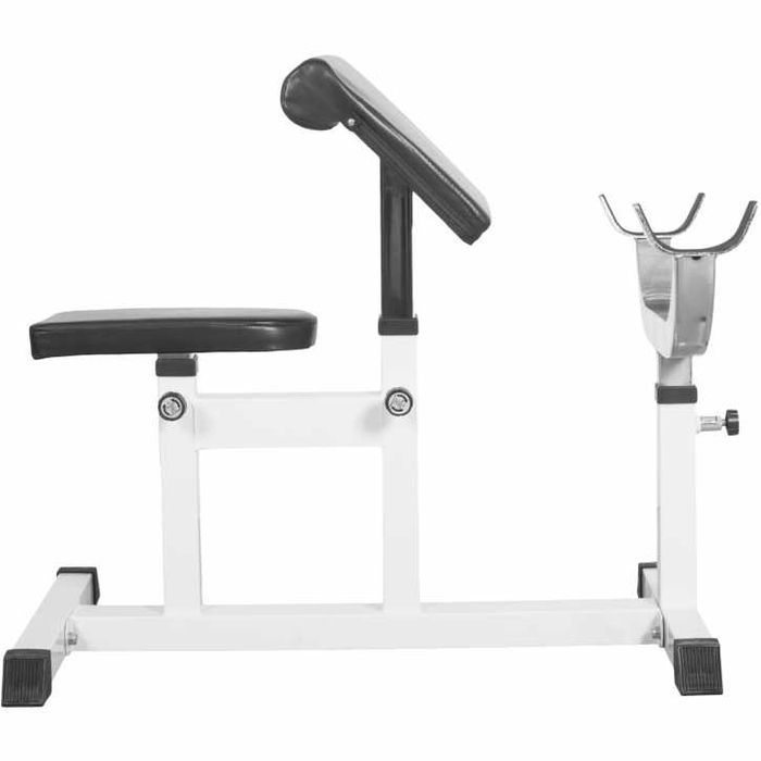 Banca Scott Alba Fitness