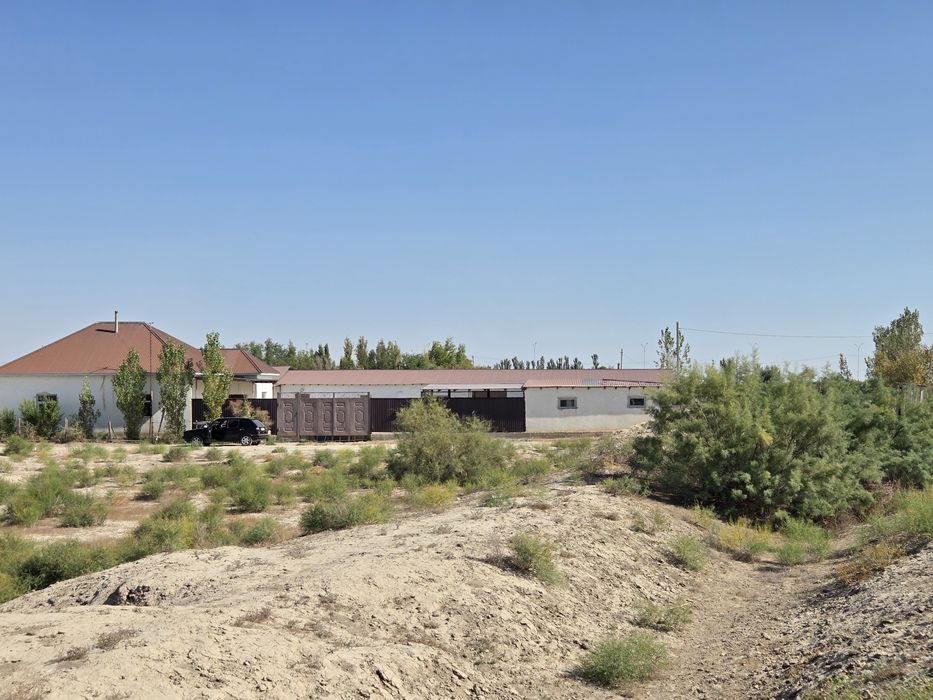 Фазенда (откорм) сатылады