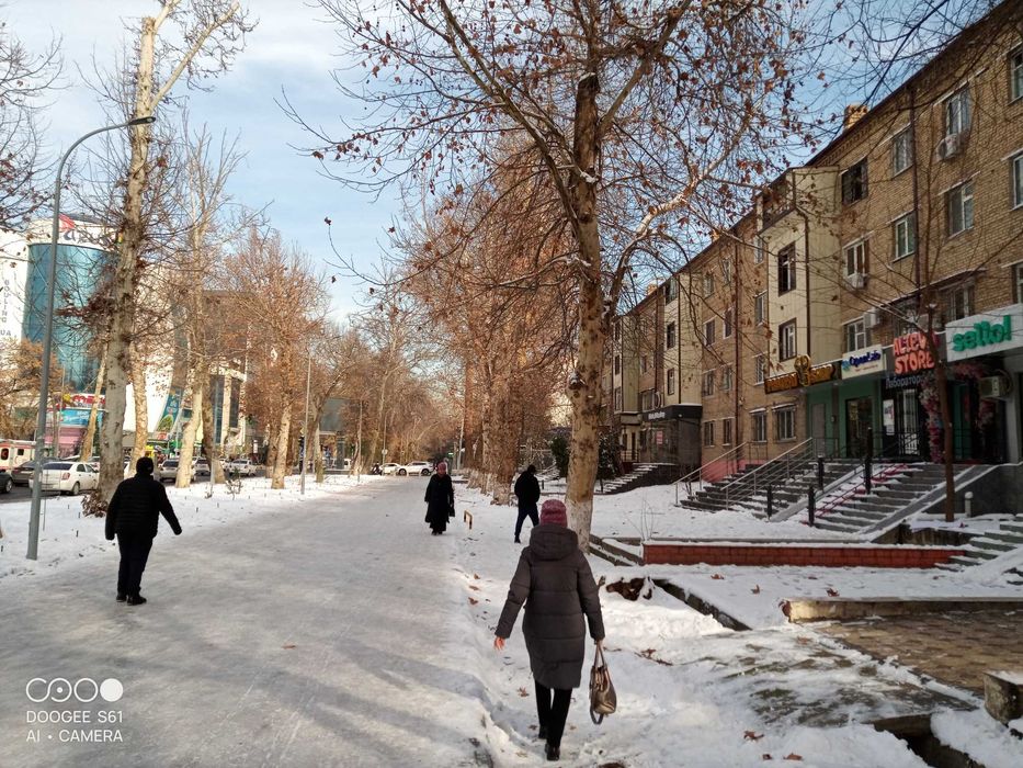 Аренда – первая линия, торговые ряды ул. Катартал ТЦ Parus