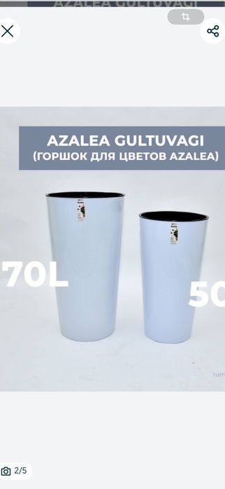 горшок пласмаса azaliya rum plast