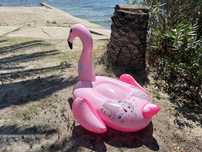 Colac gonflabil mare, Flamingo roz