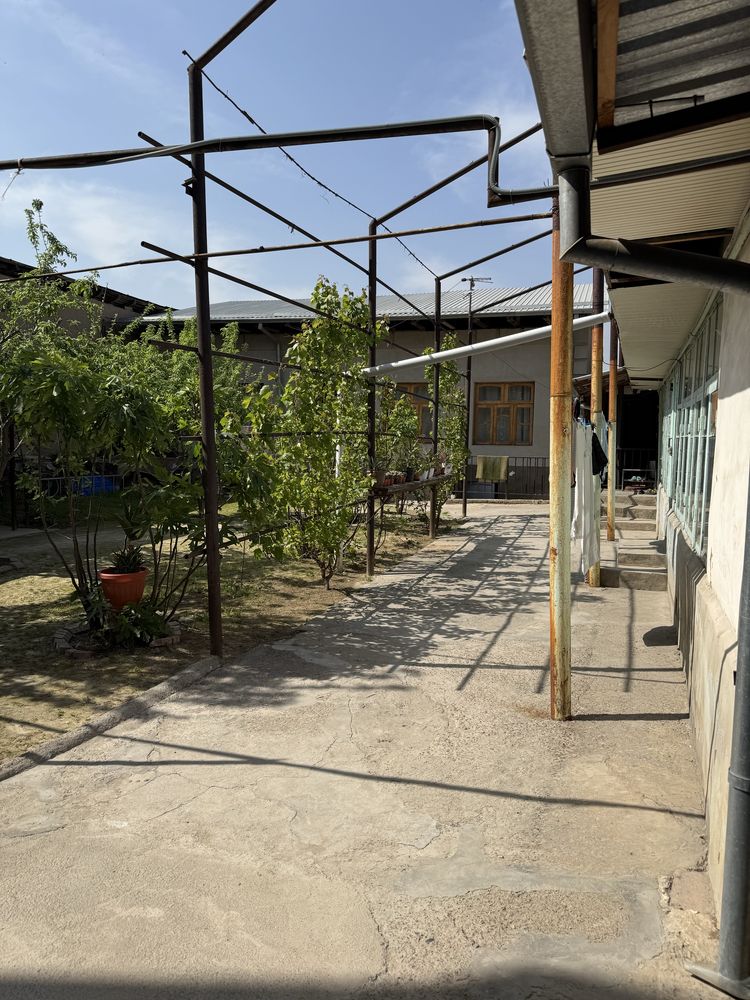 Ipadromda 5.5 sotix hovli sotiladi