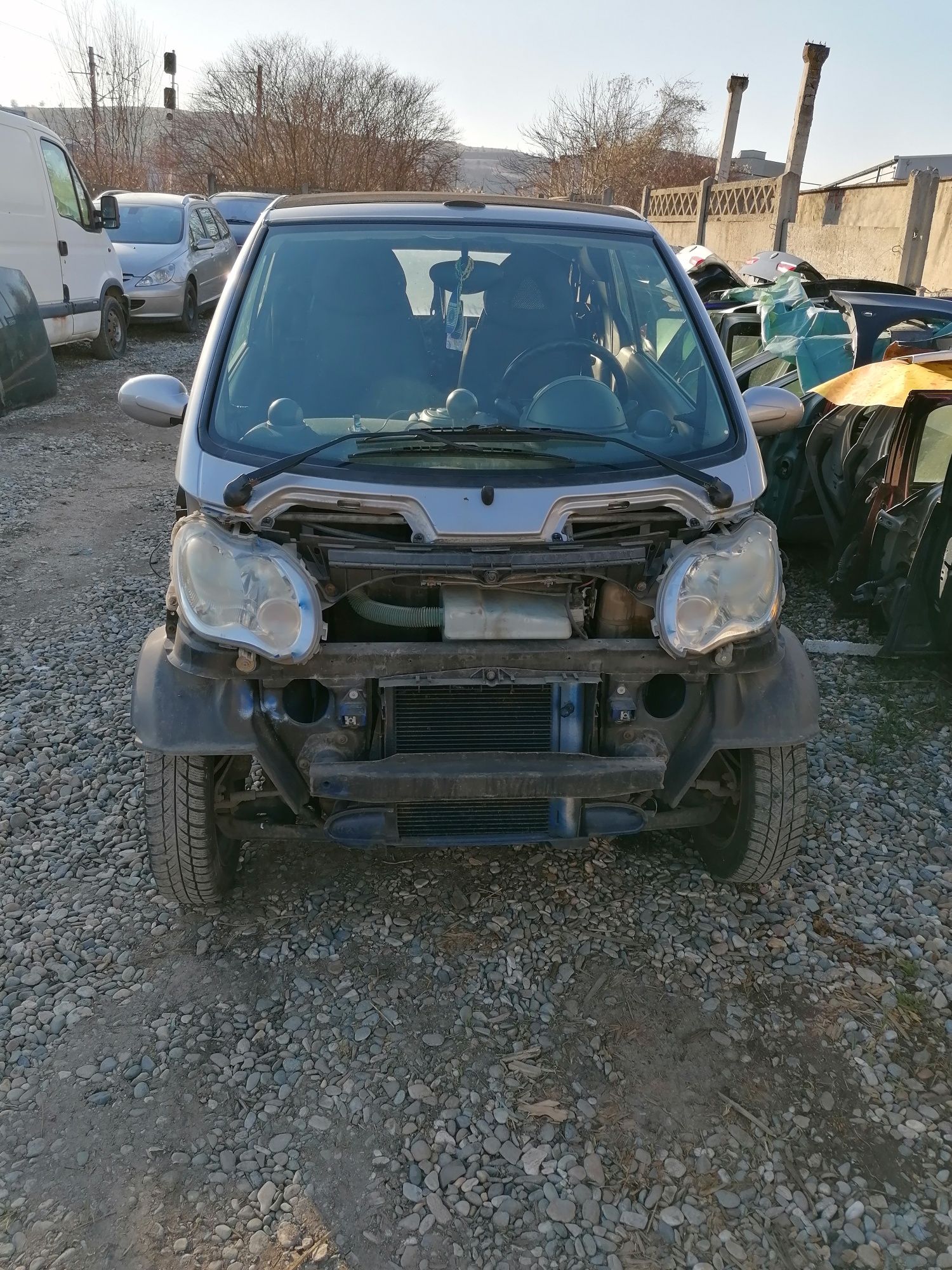 Far/faruri smart fortwo