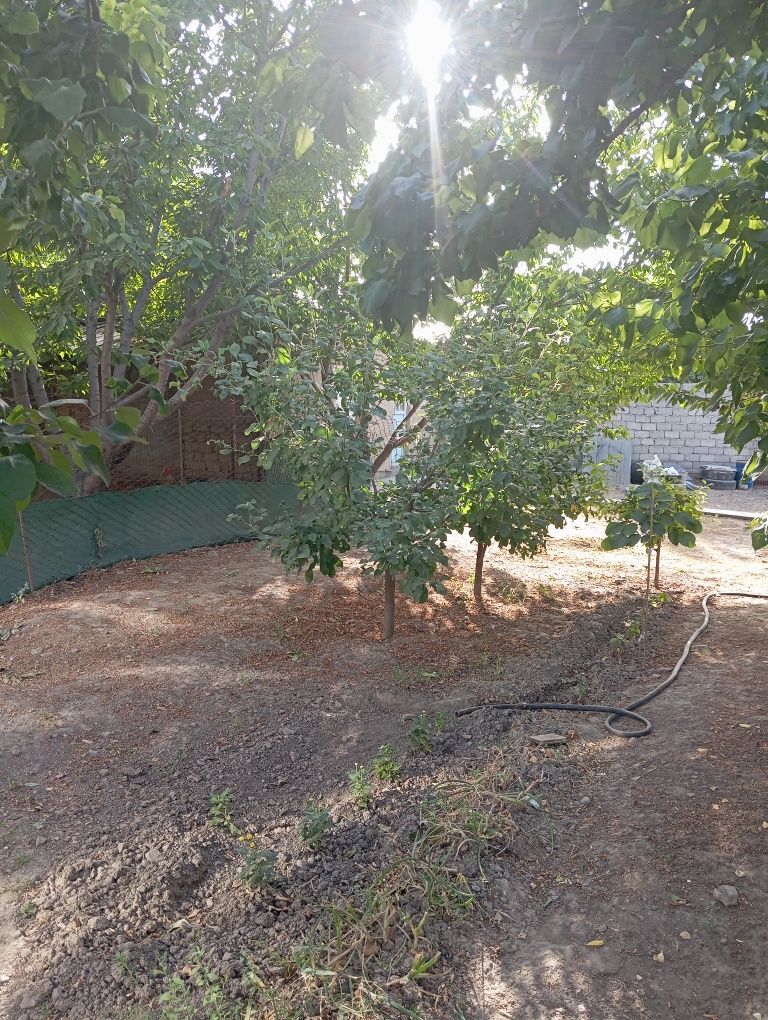 Yer sotiladi 3totik manzil Toshkent dengizi yaqinida