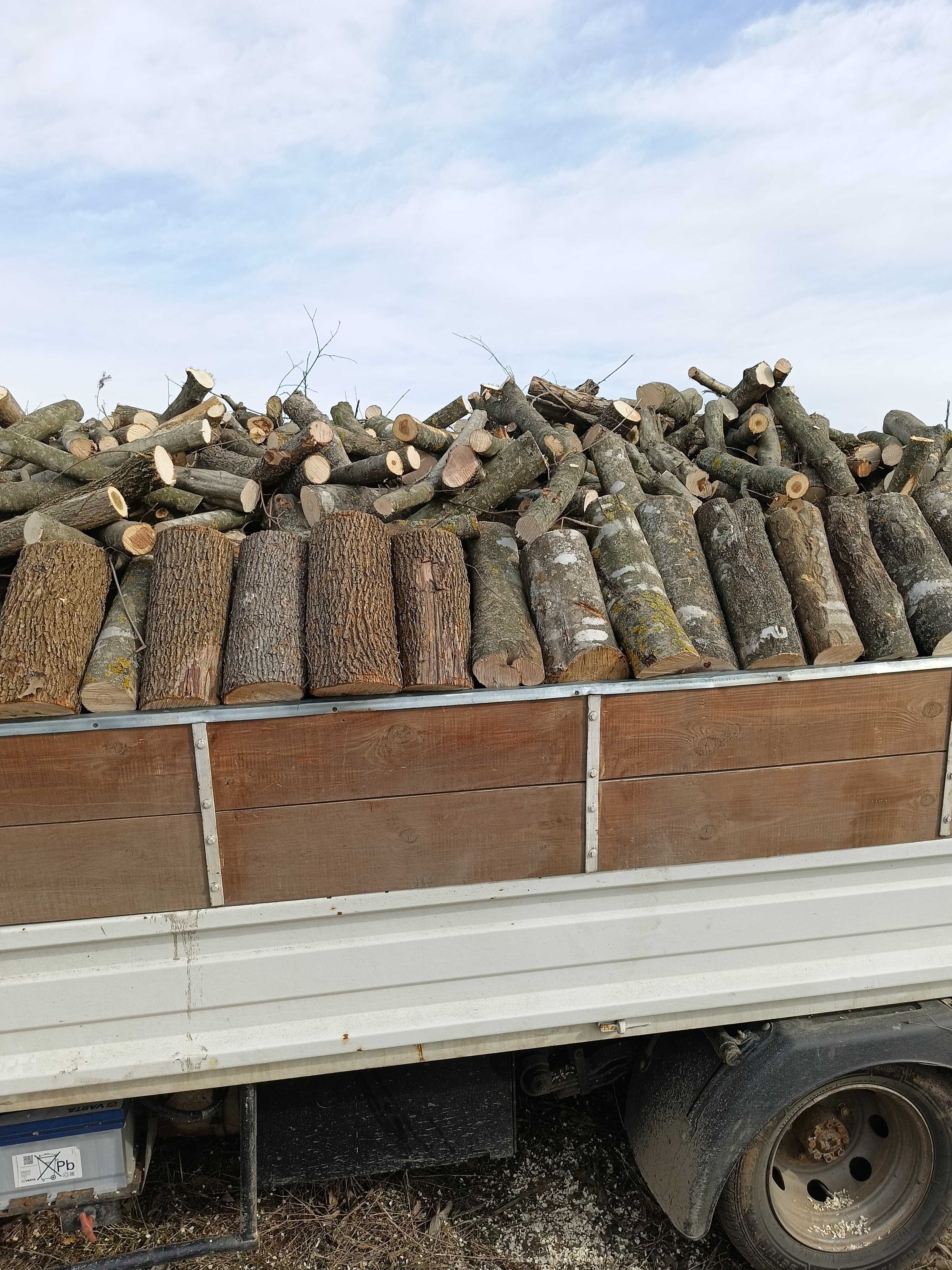 Transport lemne de foc în județul Constanța