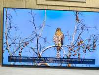 Продантся телевизор Ssmsung 50 Smart tv
