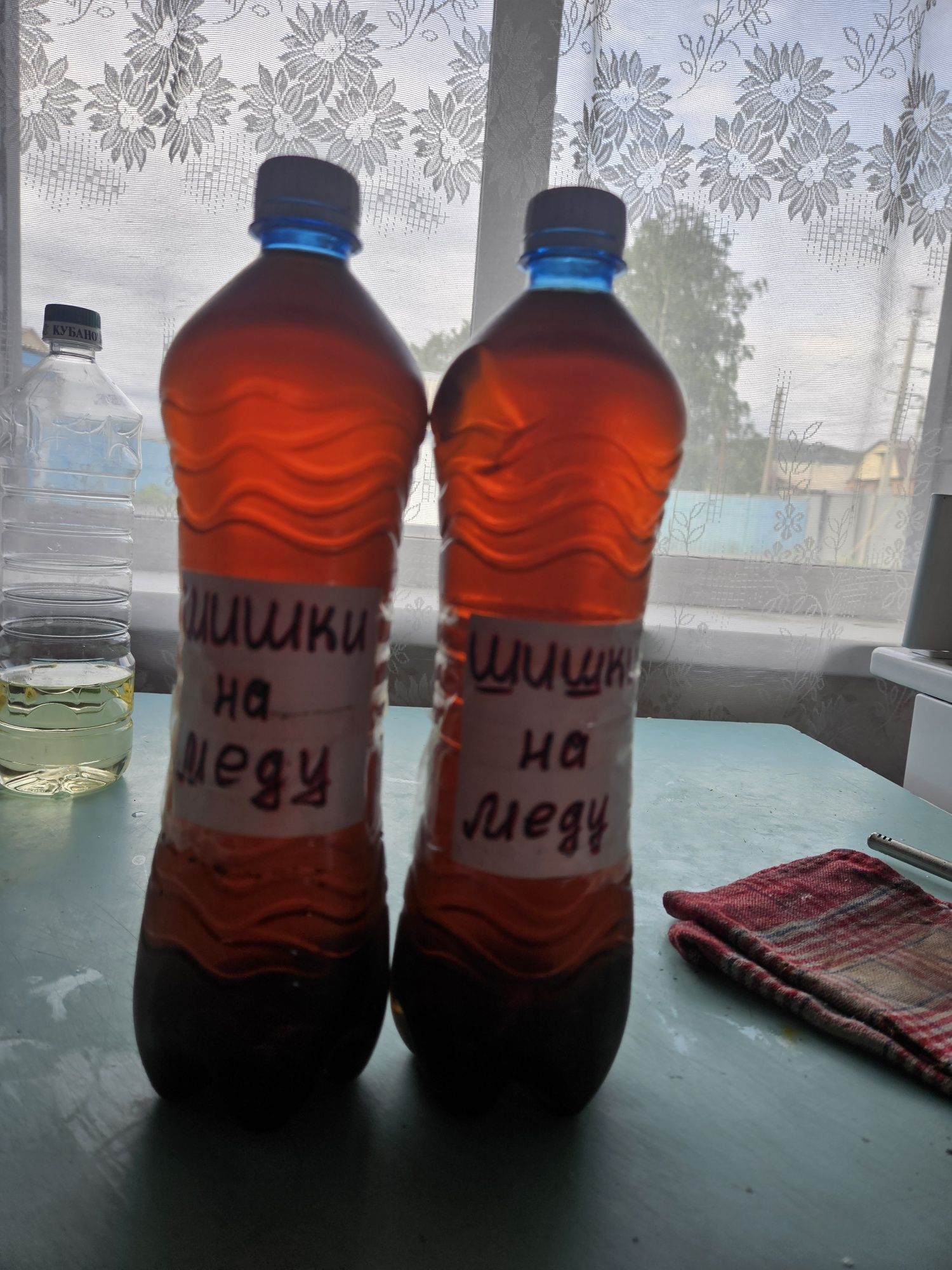 Шишки  ёлочных  .