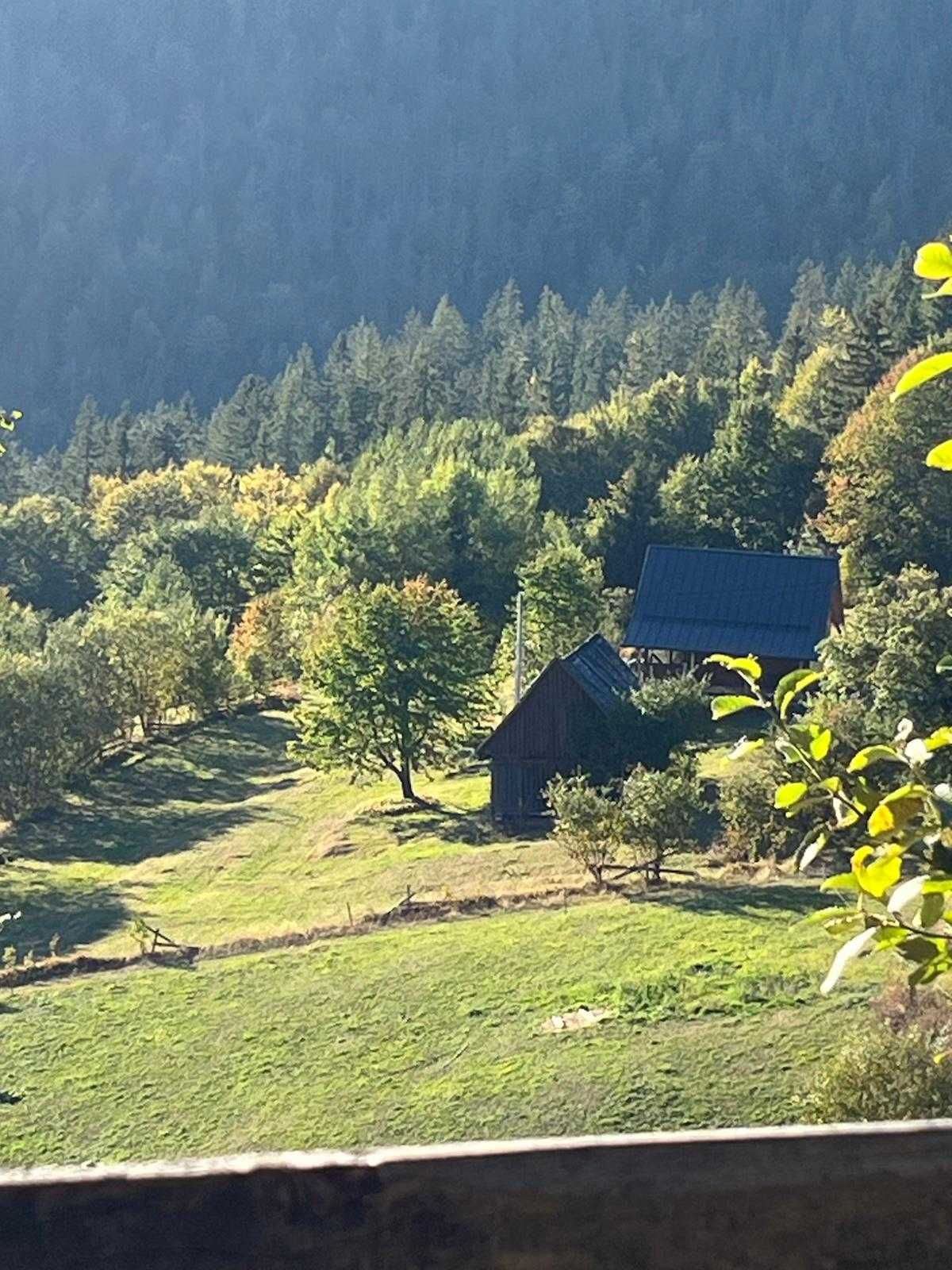 De Vânzare - În Munții Apuseni, Casă + Teren intravilan 15.000 mp