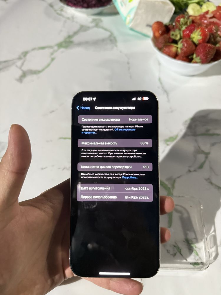 Iphone 15 pro max 256gb