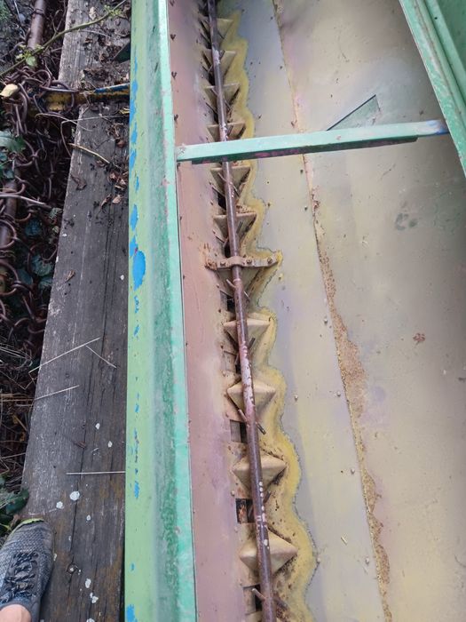 Semanatoare de paioase sup29