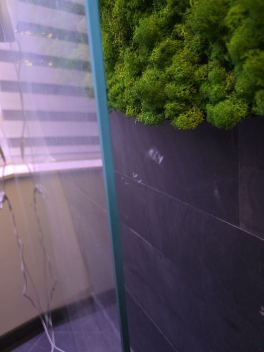 Vand paravan/sticla dus