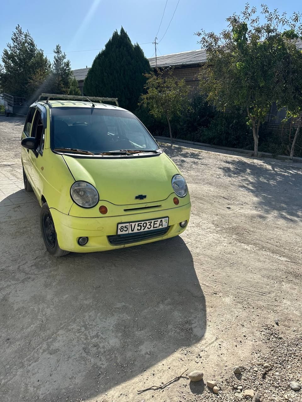 Matiz 3talik sariq