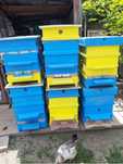 Пчелни кошери 6 6броя магазин  120 рамки  Без пчели