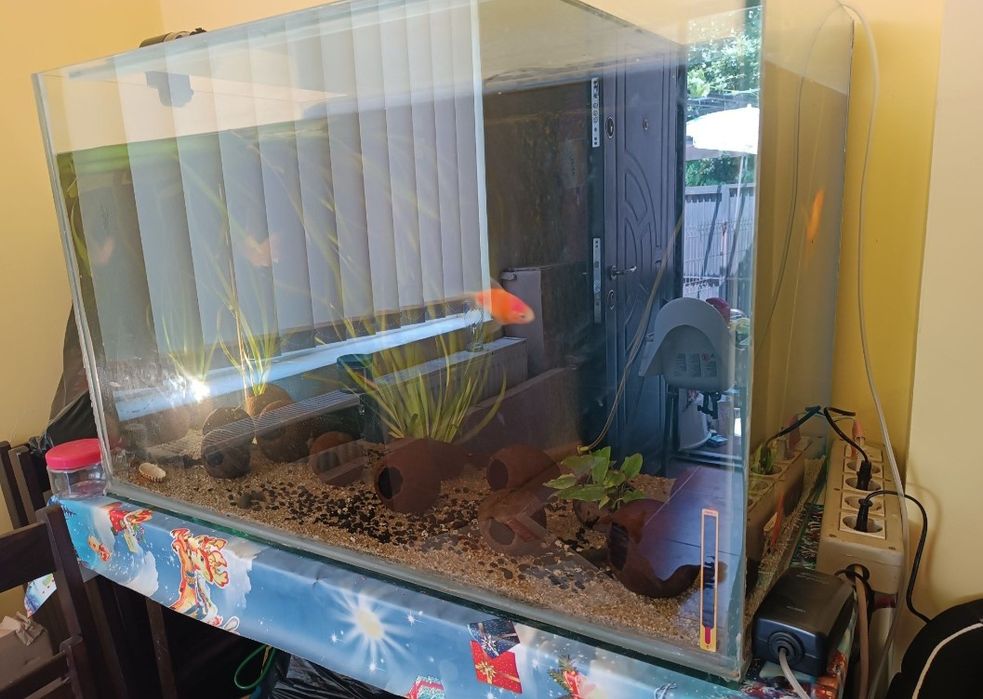 Acvariu pești 270 L