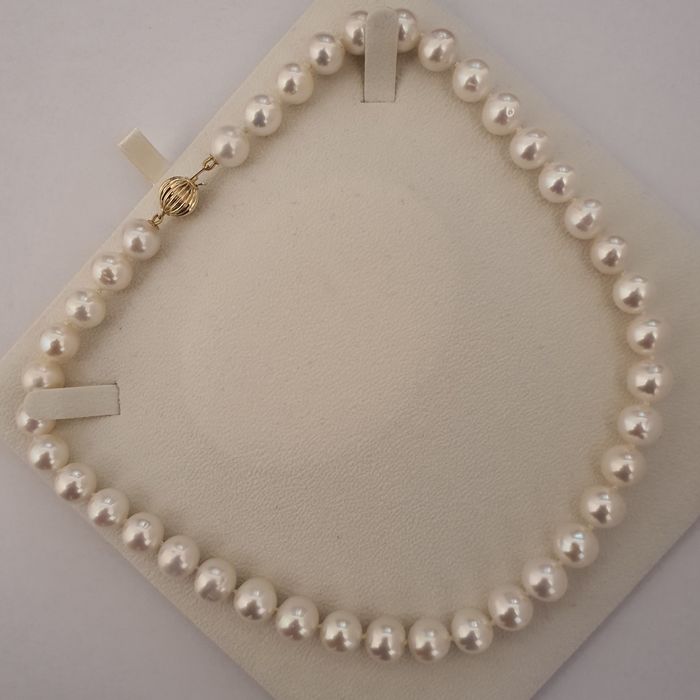 colier luxos perle naturale edison 11.5mm si aur 14k