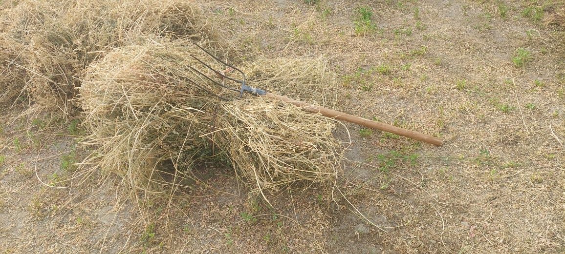 Беда, Beda, сотилади арзон булди. Акция 3 кунга