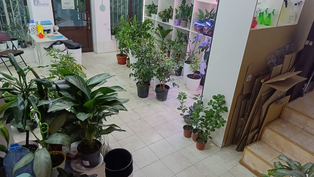 Сдается в аренду помещение 4мкр 20 дом