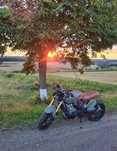 HONDA HORNET * cafe racer * scrambler - unicat