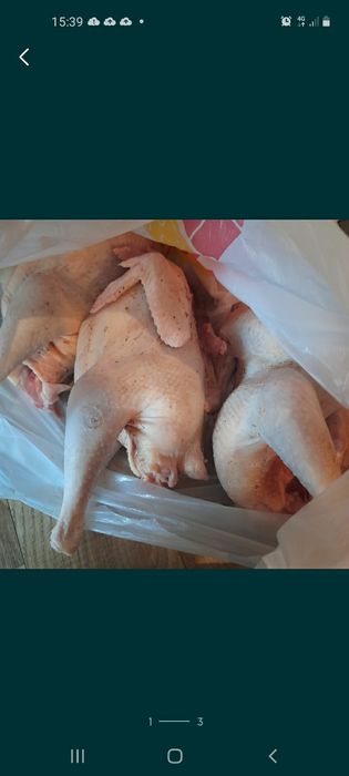 Куры бульонные домашние несушки