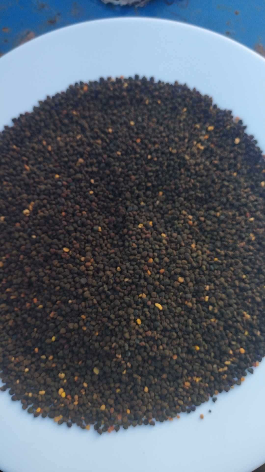 Propolis, Polen Crud/Uscat,  EN-GROS sau EN-DETAIL , PĂSTURĂ crudă,  d