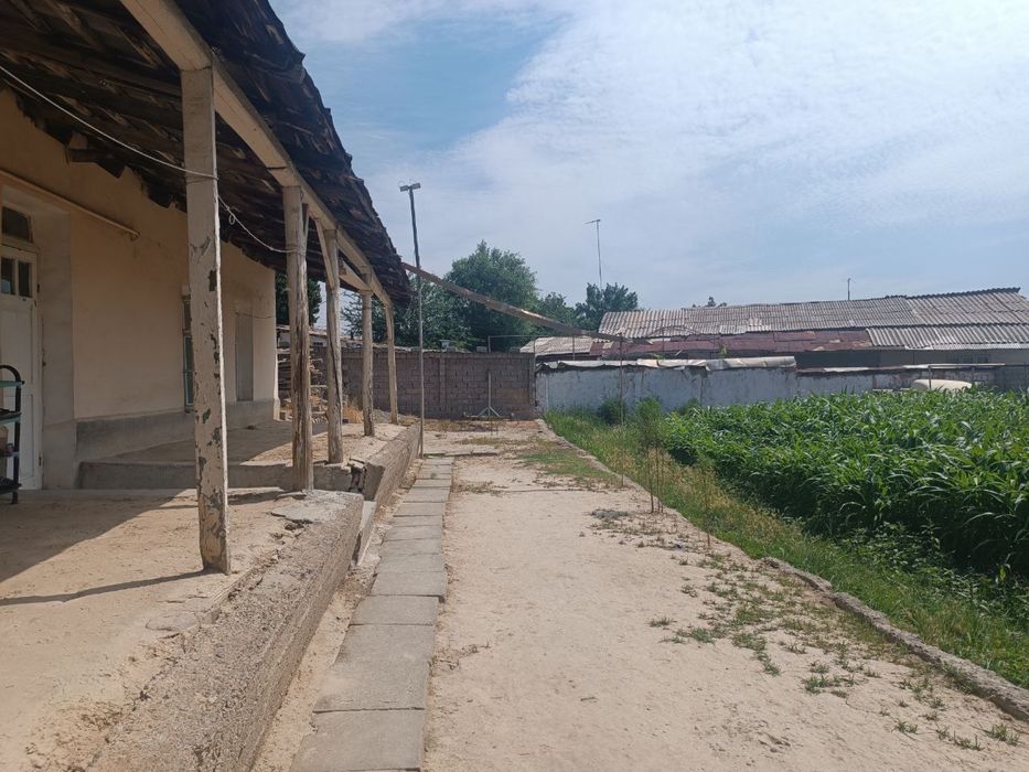 Mirzo Ulugbek tumanidan 3 km
