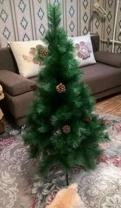 Ёлка//буу..$$$$$