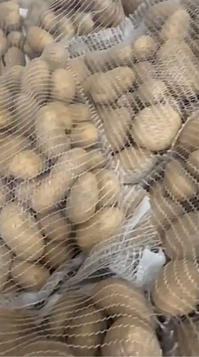 Cartofi origine Franta