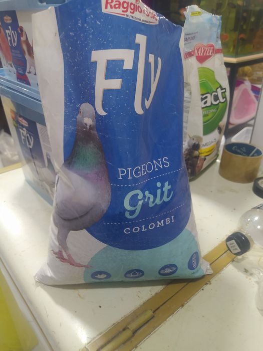 Каптарлар ва барча кушлар учун