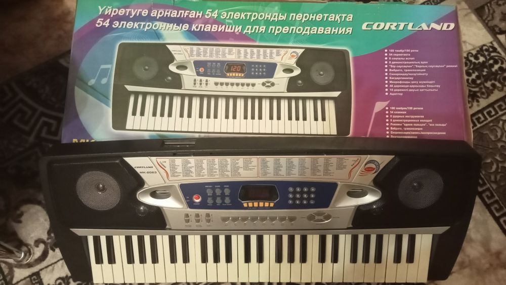 Музыкальный клавишный инструмент