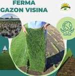 Gazon rulou natural – calitate superioară pentru orice spațiu.